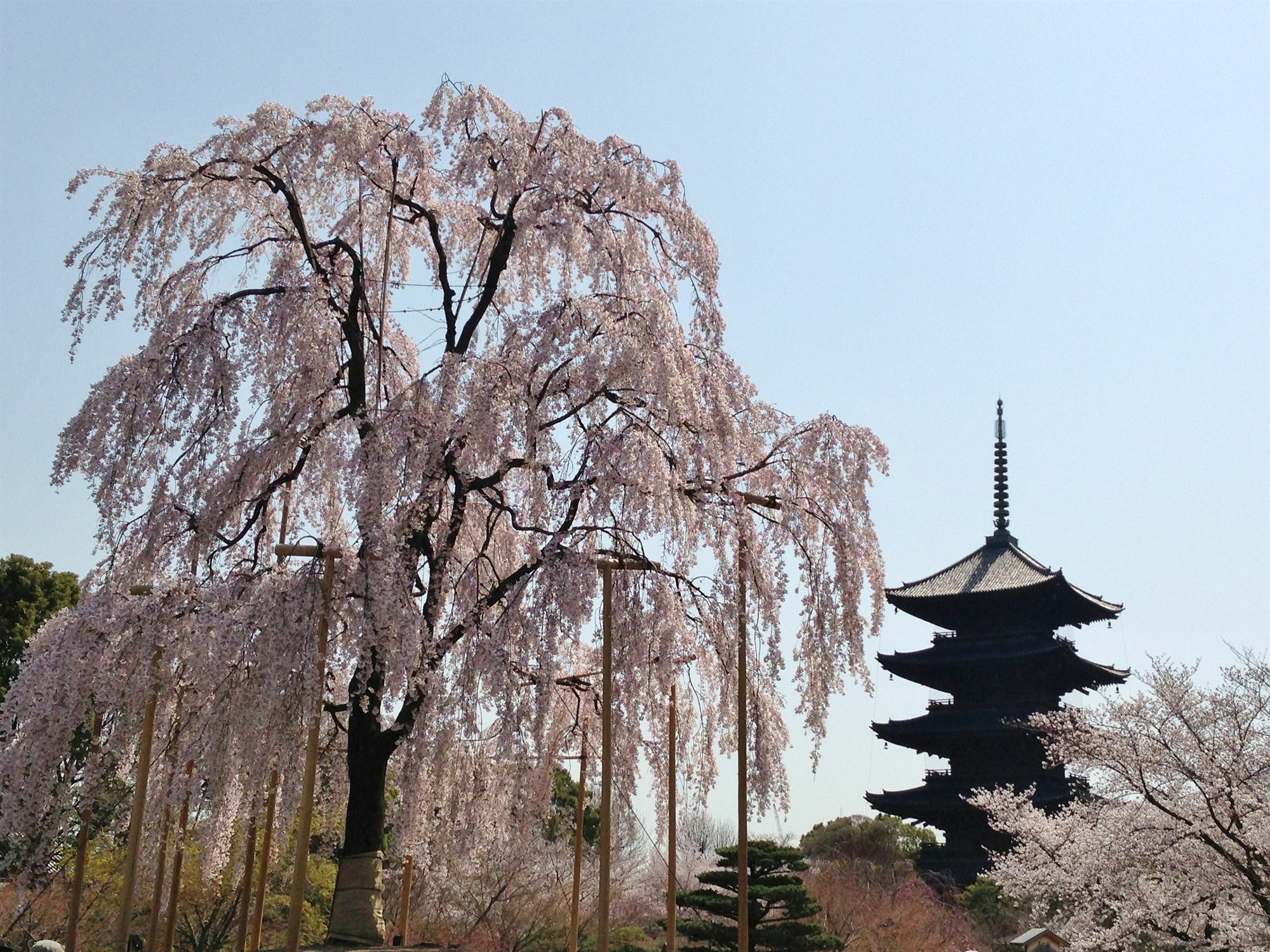 Hotel Livemax Kyoto Gojo Exteriér fotografie